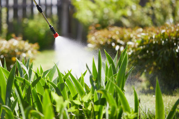 Tamper-Resistant Bait Stations for Rodents in Torrington