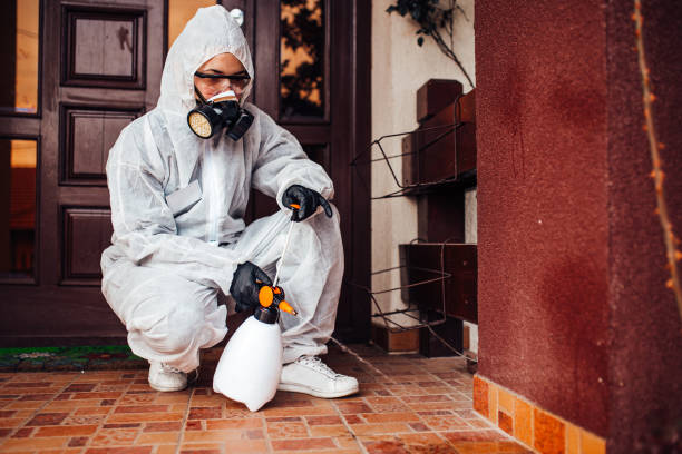 Attic and Crawl Space Rodent Treatment in Torrington