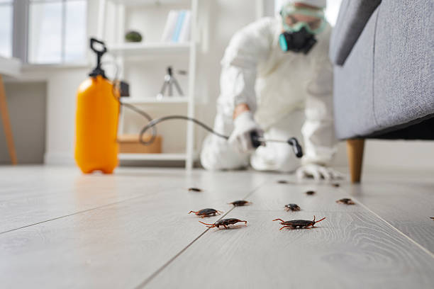 Commercial Rodent Management in Torrington